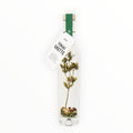 DIY glazen fles vinaigrette met italiaanse kruiden