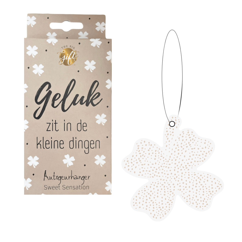 geurhanger in de vorm van een klavertje vier en een doosje met de tekst geluk zit in de kleine dingen
